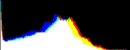 Histogram